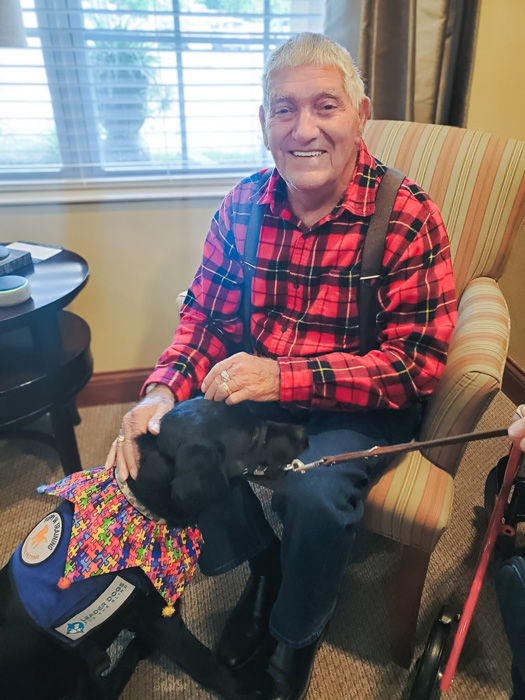 Senior man in a red plaid shirt smiles while petting a therapy dog wearing a colorful vest, sitting comfortably in a chair by the window.